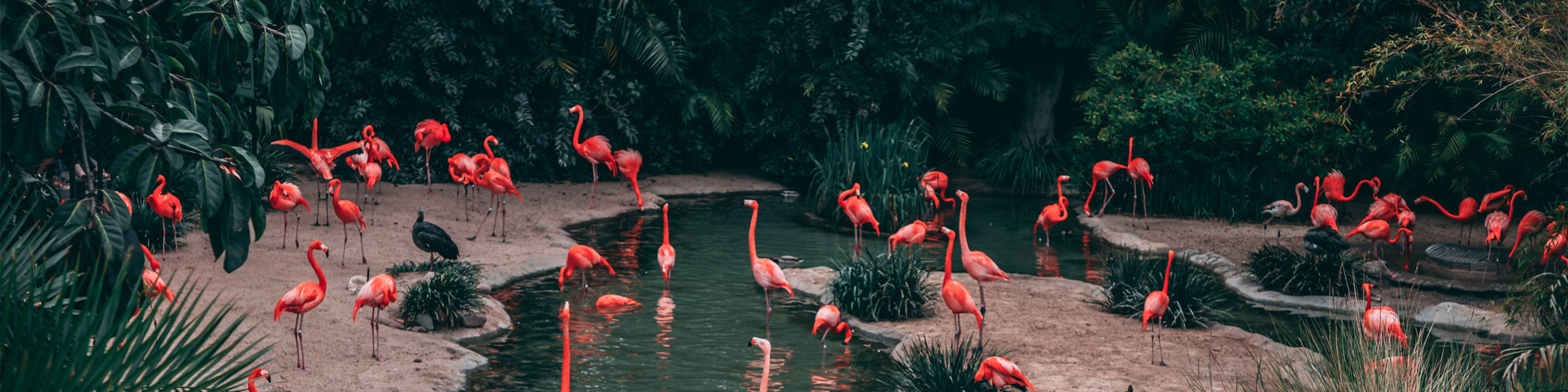 西藏悦游者旅行社有限公司驻马店第三网点